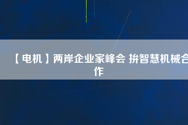 【電機(jī)】兩岸企業(yè)家峰會 拚智慧機(jī)械合作
          