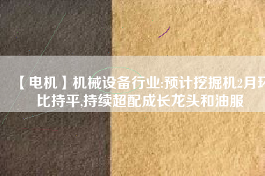 【電機(jī)】機(jī)械設(shè)備行業(yè):預(yù)計(jì)挖掘機(jī)2月環(huán)比持平,持續(xù)超配成長龍頭和油服
          