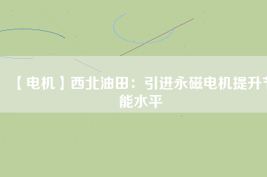 【電機(jī)】西北油田：引進(jìn)永磁電機(jī)提升節(jié)能水平
          