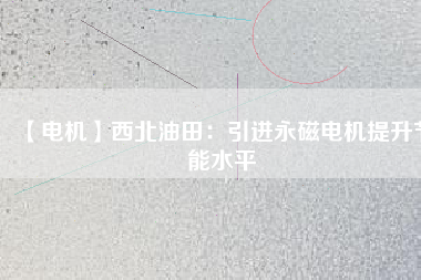 【電機(jī)】西北油田：引進(jìn)永磁電機(jī)提升節(jié)能水平
          