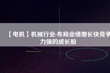 【電機(jī)】機(jī)械行業(yè):布局業(yè)績(jī)?cè)鲩L(zhǎng)快競(jìng)爭(zhēng)力強(qiáng)的成長(zhǎng)股
          