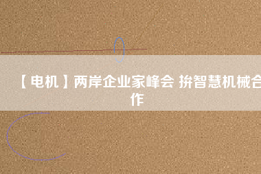 【電機(jī)】兩岸企業(yè)家峰會 拚智慧機(jī)械合作
          