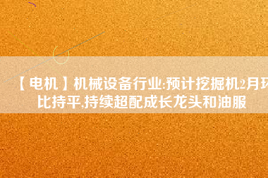 【電機(jī)】機(jī)械設(shè)備行業(yè):預(yù)計(jì)挖掘機(jī)2月環(huán)比持平,持續(xù)超配成長龍頭和油服
          