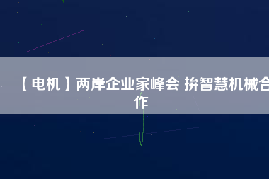 【電機(jī)】兩岸企業(yè)家峰會 拚智慧機(jī)械合作
          