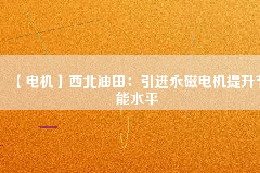 【電機(jī)】西北油田：引進(jìn)永磁電機(jī)提升節(jié)能水平
          