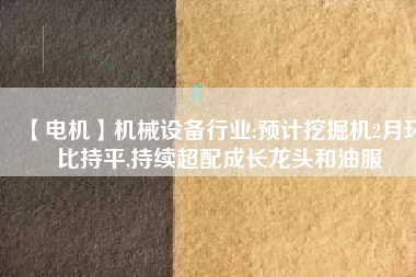 【電機(jī)】機(jī)械設(shè)備行業(yè):預(yù)計(jì)挖掘機(jī)2月環(huán)比持平,持續(xù)超配成長龍頭和油服
          