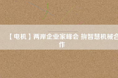 【電機(jī)】兩岸企業(yè)家峰會 拚智慧機(jī)械合作
          