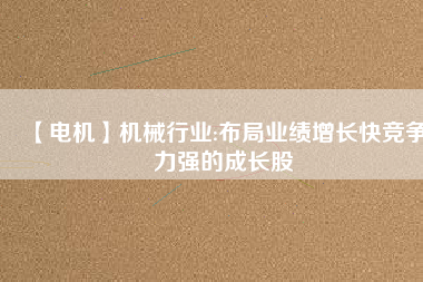 【電機(jī)】機(jī)械行業(yè):布局業(yè)績(jī)?cè)鲩L(zhǎng)快競(jìng)爭(zhēng)力強(qiáng)的成長(zhǎng)股
          