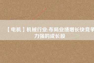 【電機(jī)】機(jī)械行業(yè):布局業(yè)績(jī)?cè)鲩L(zhǎng)快競(jìng)爭(zhēng)力強(qiáng)的成長(zhǎng)股
          