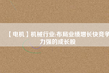 【電機(jī)】機(jī)械行業(yè):布局業(yè)績(jī)?cè)鲩L(zhǎng)快競(jìng)爭(zhēng)力強(qiáng)的成長(zhǎng)股
          