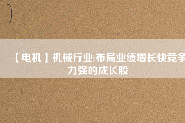 【電機(jī)】機(jī)械行業(yè):布局業(yè)績(jī)?cè)鲩L(zhǎng)快競(jìng)爭(zhēng)力強(qiáng)的成長(zhǎng)股
          