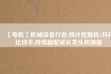 【電機(jī)】機(jī)械設(shè)備行業(yè):預(yù)計(jì)挖掘機(jī)2月環(huán)比持平,持續(xù)超配成長龍頭和油服
          