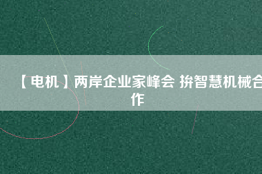 【電機(jī)】兩岸企業(yè)家峰會 拚智慧機(jī)械合作
          