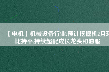 【電機(jī)】機(jī)械設(shè)備行業(yè):預(yù)計(jì)挖掘機(jī)2月環(huán)比持平,持續(xù)超配成長龍頭和油服
          