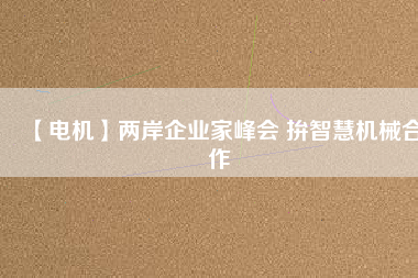 【電機(jī)】兩岸企業(yè)家峰會 拚智慧機(jī)械合作
          