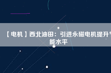 【電機(jī)】西北油田：引進(jìn)永磁電機(jī)提升節(jié)能水平
          