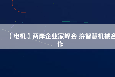 【電機(jī)】兩岸企業(yè)家峰會 拚智慧機(jī)械合作
          