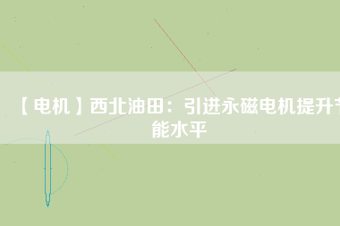 【電機(jī)】西北油田：引進(jìn)永磁電機(jī)提升節(jié)能水平
          