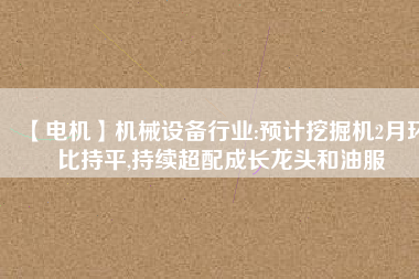 【電機(jī)】機(jī)械設(shè)備行業(yè):預(yù)計(jì)挖掘機(jī)2月環(huán)比持平,持續(xù)超配成長龍頭和油服
          