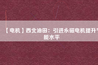 【電機(jī)】西北油田：引進(jìn)永磁電機(jī)提升節(jié)能水平
          