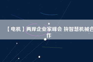 【電機(jī)】兩岸企業(yè)家峰會 拚智慧機(jī)械合作
          