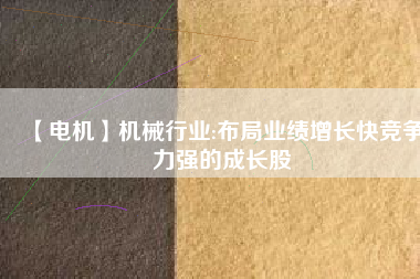 【電機(jī)】機(jī)械行業(yè):布局業(yè)績(jī)?cè)鲩L(zhǎng)快競(jìng)爭(zhēng)力強(qiáng)的成長(zhǎng)股
          