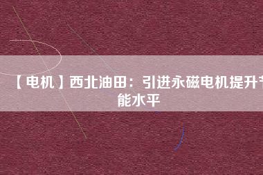 【電機(jī)】西北油田：引進(jìn)永磁電機(jī)提升節(jié)能水平
          