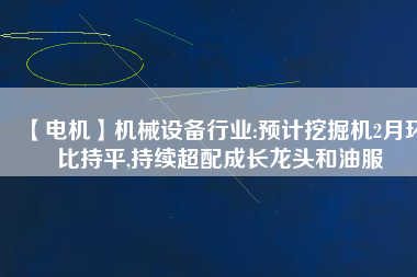 【電機(jī)】機(jī)械設(shè)備行業(yè):預(yù)計(jì)挖掘機(jī)2月環(huán)比持平,持續(xù)超配成長龍頭和油服
          