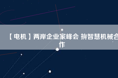 【電機(jī)】兩岸企業(yè)家峰會 拚智慧機(jī)械合作
          